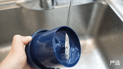 严选 最“低调”的国产科技巨头，在美国捞金无数，却被国人视为山寨