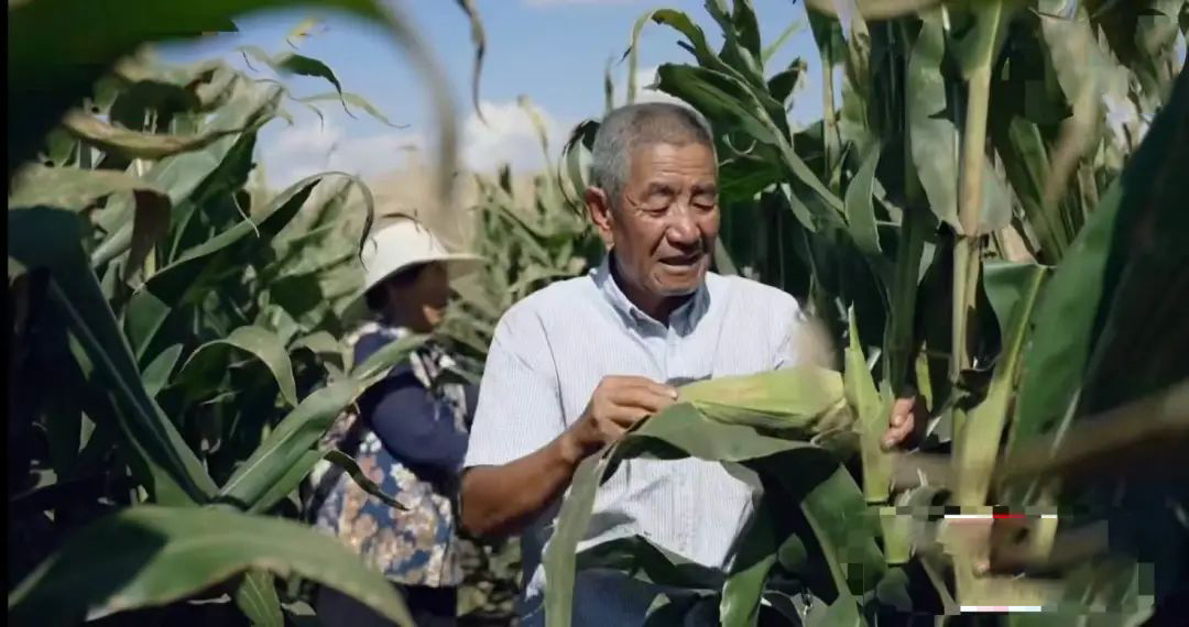 花农村老人 132 万却改造成毛坯房，网友：设计师含泪赚了131万