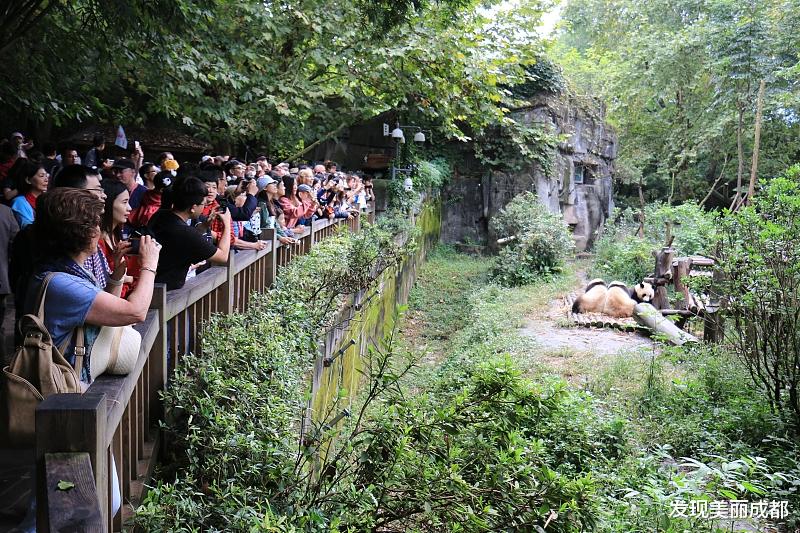 发现美丽成都 到成都过五一，市区内必看的八大经典景点