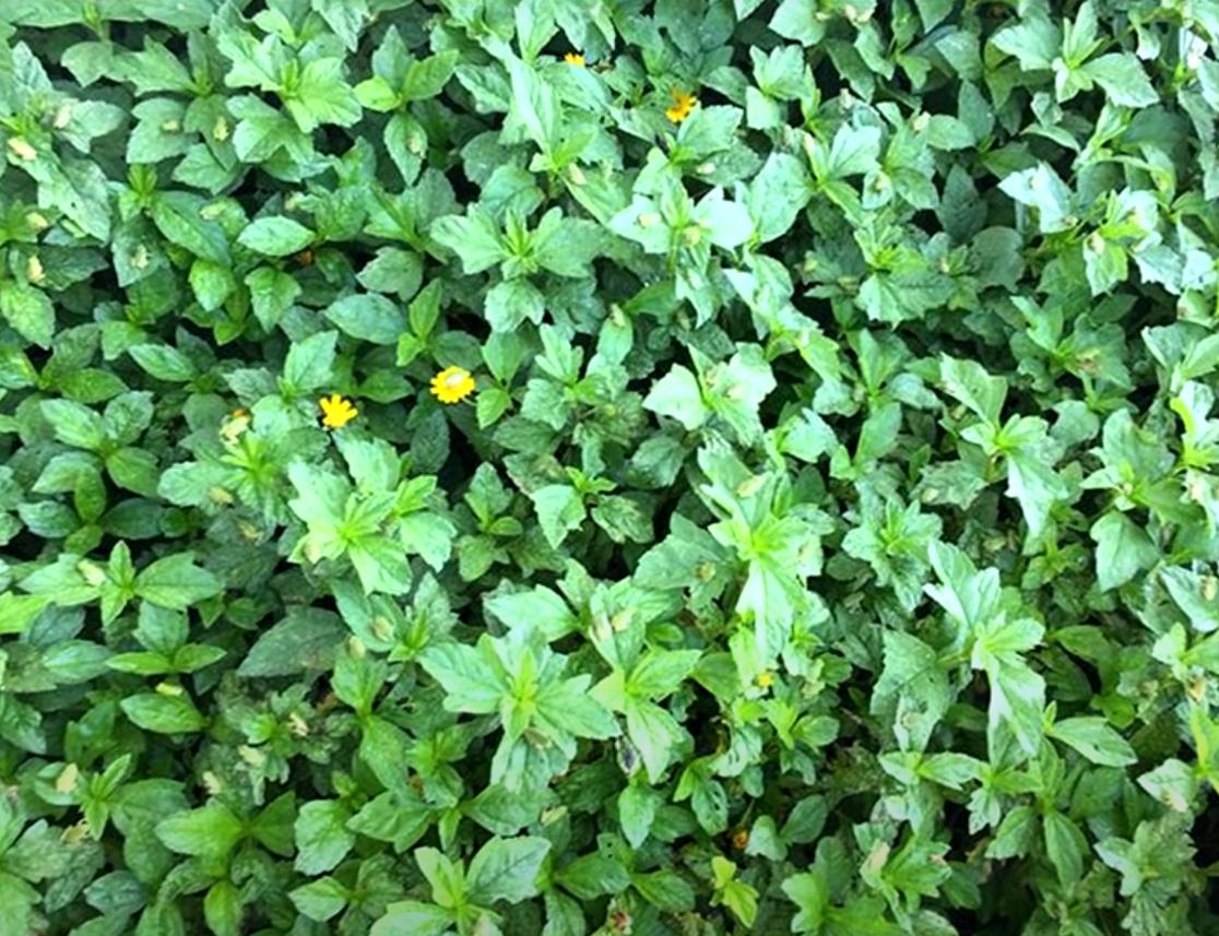 海之归墟|25张带有伪装效果的照片，网友：都是“撞衫”惹的祸