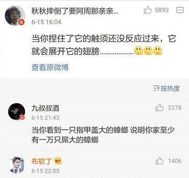 蟑螂|北方人遇见南方蟑螂会是啥“反应”？一组漫画读懂「南北差异」！