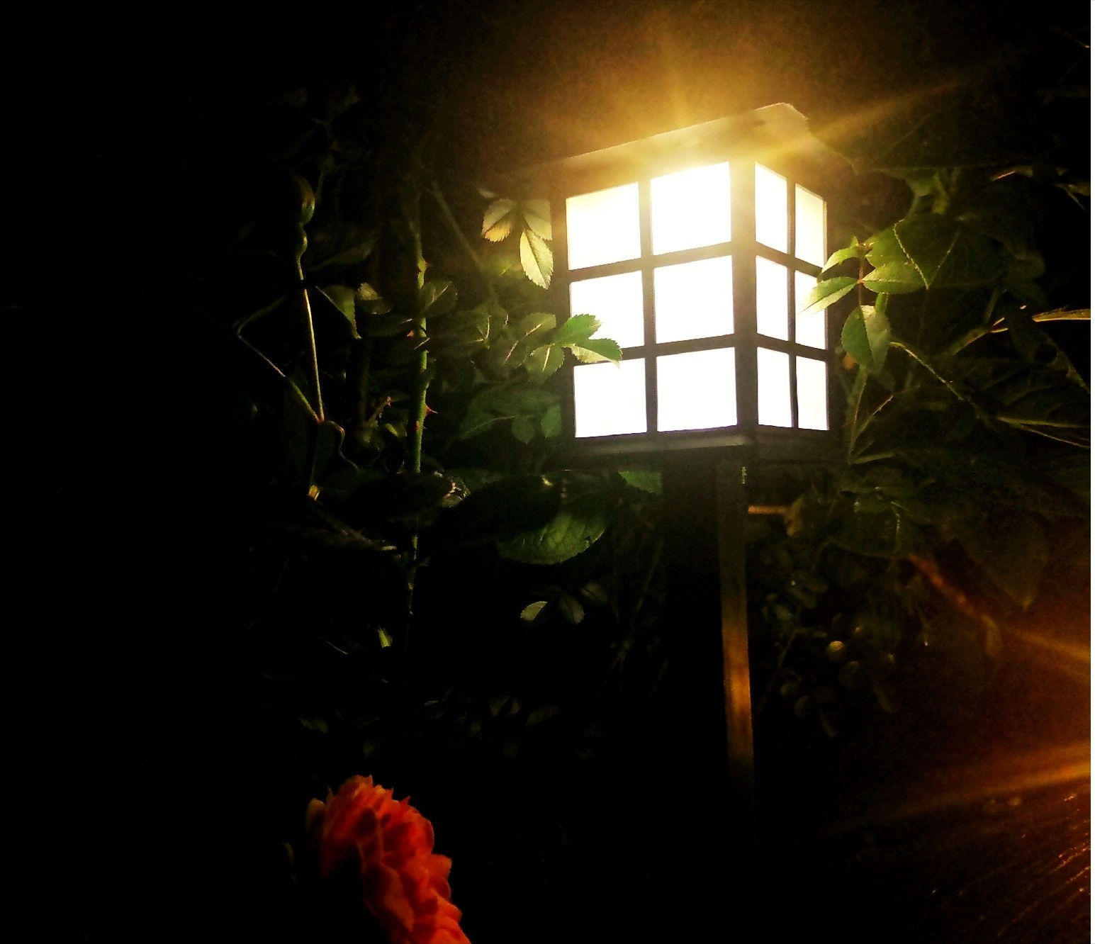 花2万元，改造25㎡别墅露台，这么漂亮的屋顶花园，有撩到你么？