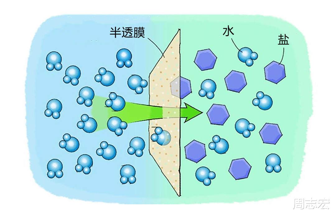  盐是怎么杀死蜗牛的？它真的会感觉到痛苦吗？