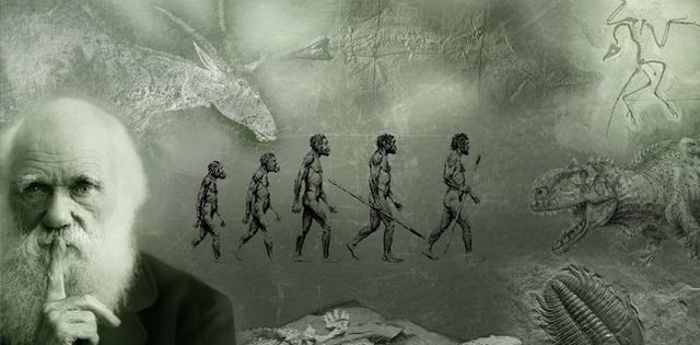 海克尔 进化论有3个“诡异之处”，达尔文也无法解释，人类起源再被质疑