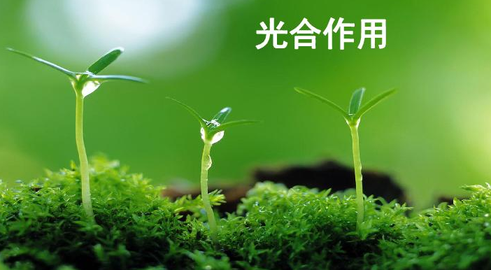 地球究竟是如何成为唯一已知拥有富氧大气层的行星?