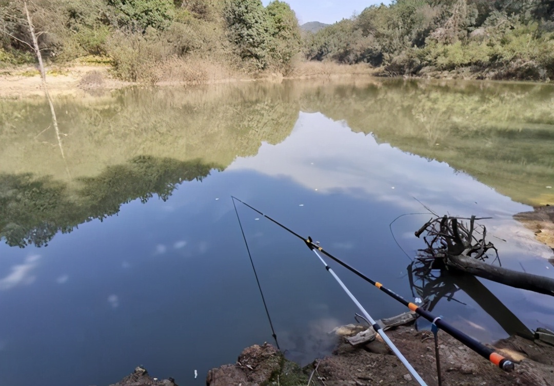 |夏季夜钓鲶鱼，这招才够狠，渔获猛增——盛世三渔