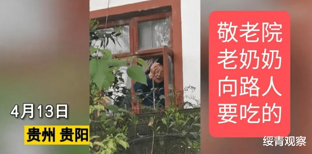 绥青观察 令人心碎！养老院一老人向路人索要食物，网友：儿女看到不会心痛么？
