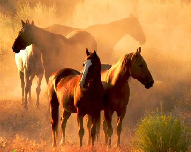 玄风八字运势|牛年大暑之后，哪些属相要走好运了？