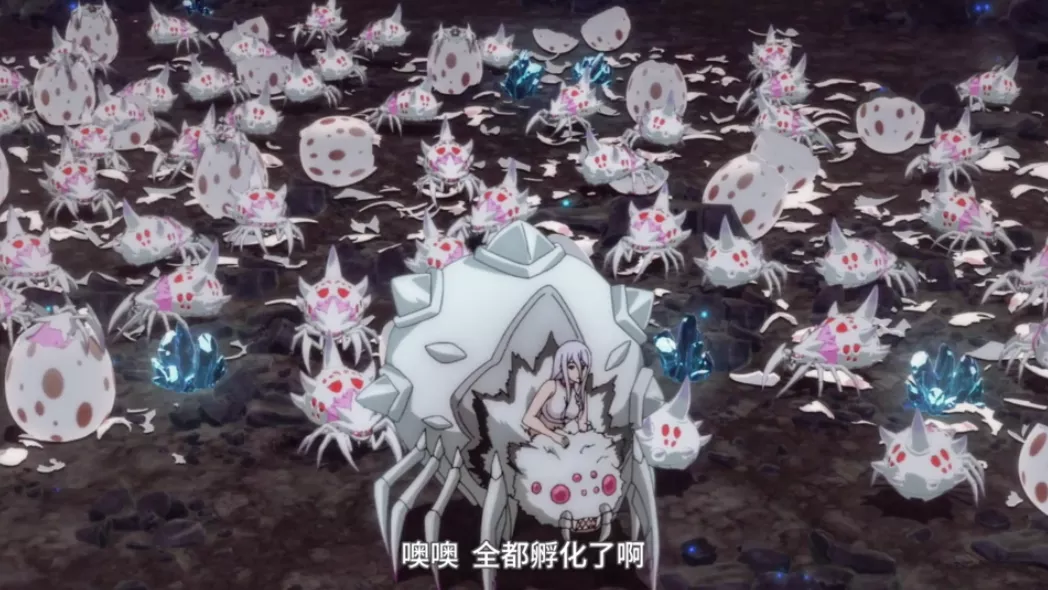 蜘蛛 蜘蛛子的蛋孵化后，出生的小蜘蛛怎么处理？