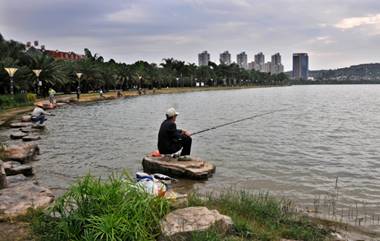 湖北|一入冬鱼儿就消失？知道这些小窍门，鱼儿乖乖来找你，鱼获翻倍