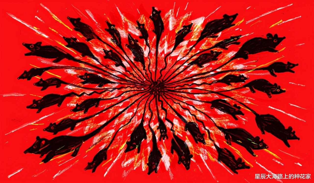 科学家 俄罗斯惊现诡异“鼠王”，5只老鼠尾巴交缠打死结，专家无法解释