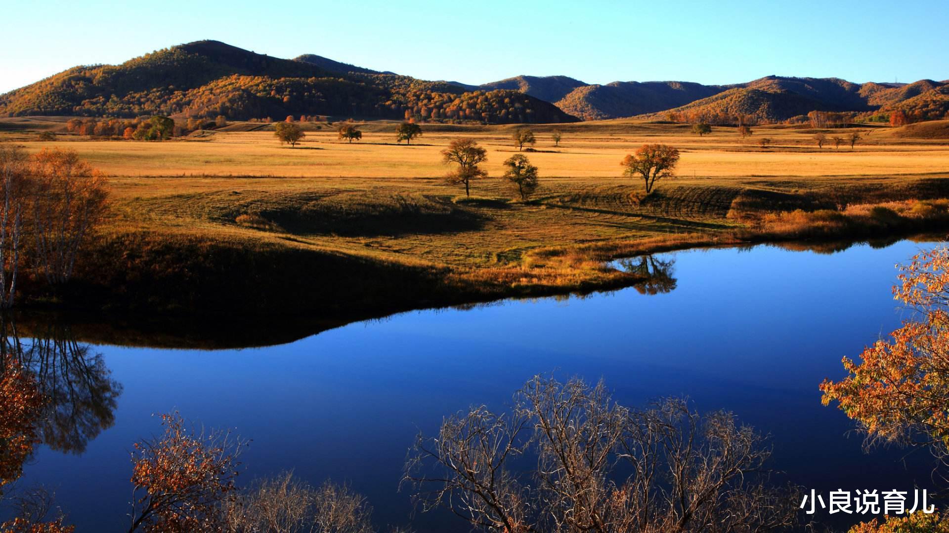 小良说育儿|理想和梦想有怎样的区别