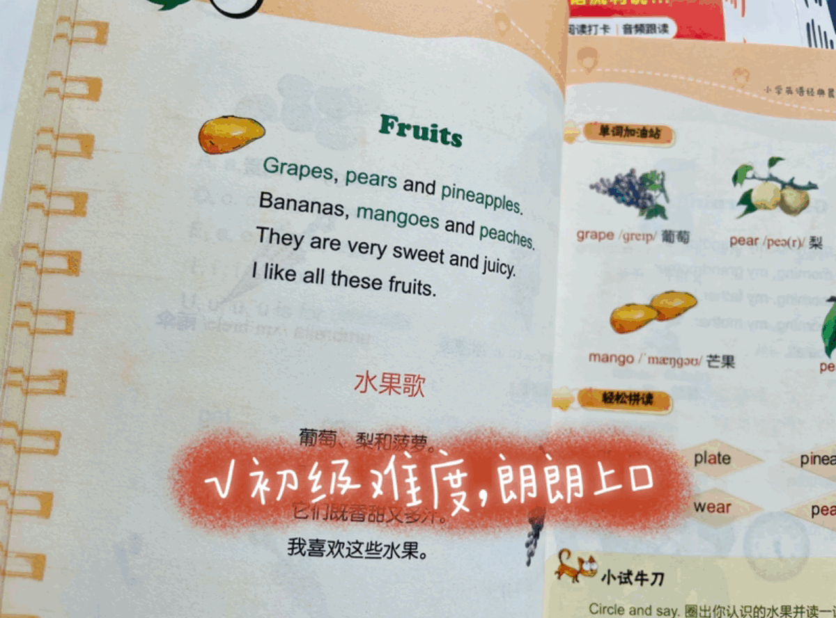 凝妈悟语|儿子英语成绩优秀，看原版书无障碍，小学阶段广泛的阅读成就了他