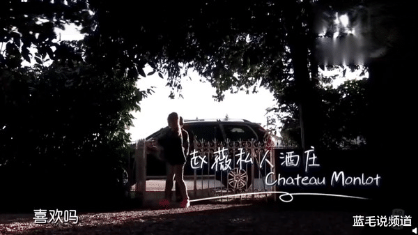 赵薇|赵薇派对狂欢画面被翻出  拥14亿法国酒庄　内部样貌曝光