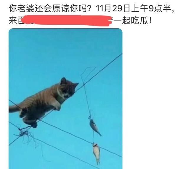 |沙溢被爆出轨某台工作人员，工作室发文辟谣，《武林外传》保住了