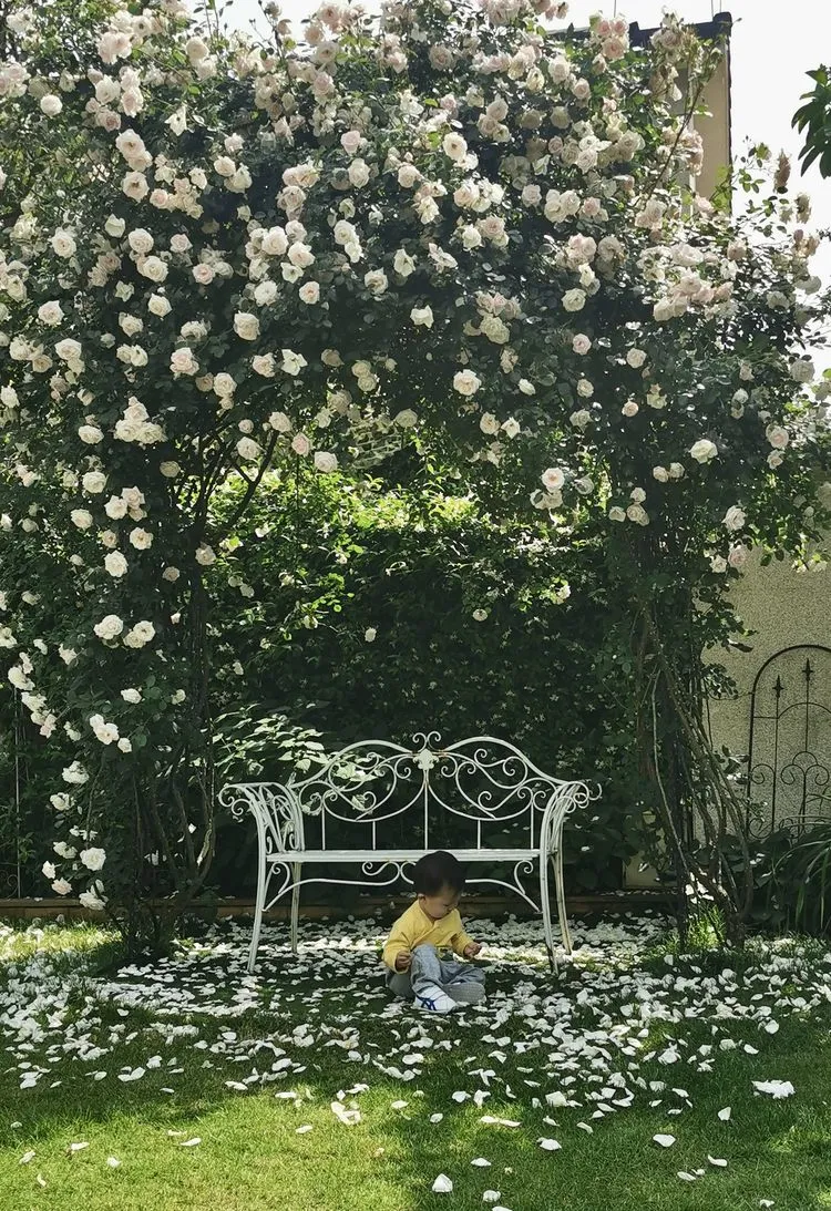 |买了别墅花园房，用5年时间，亲手设计打造400㎡别墅花园，太美了