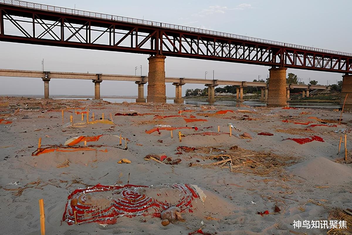 屍體太多！上千具被扔河裡，數百具被埋河邊，印度官員：這是習俗-圖4