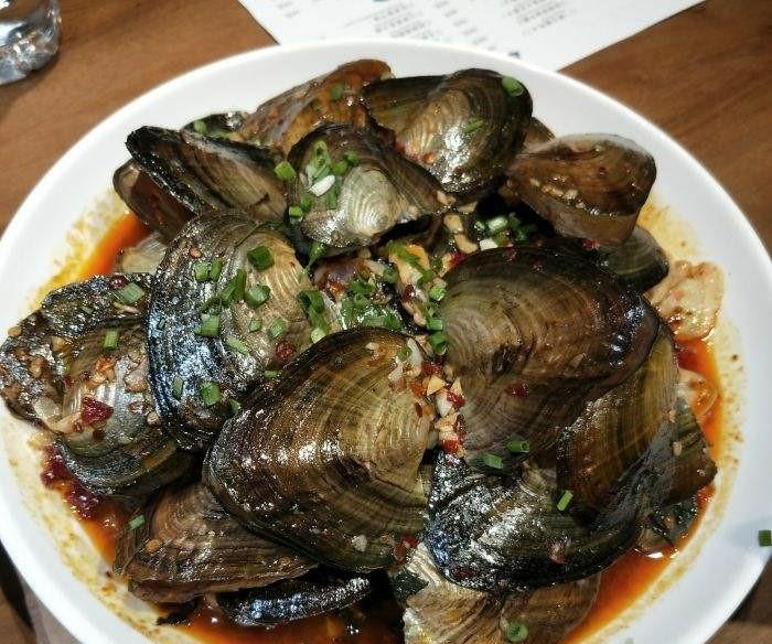 湛江|生态好了？湛江钓友小河里挖出许多河蚌，网友：煮一次臭三天