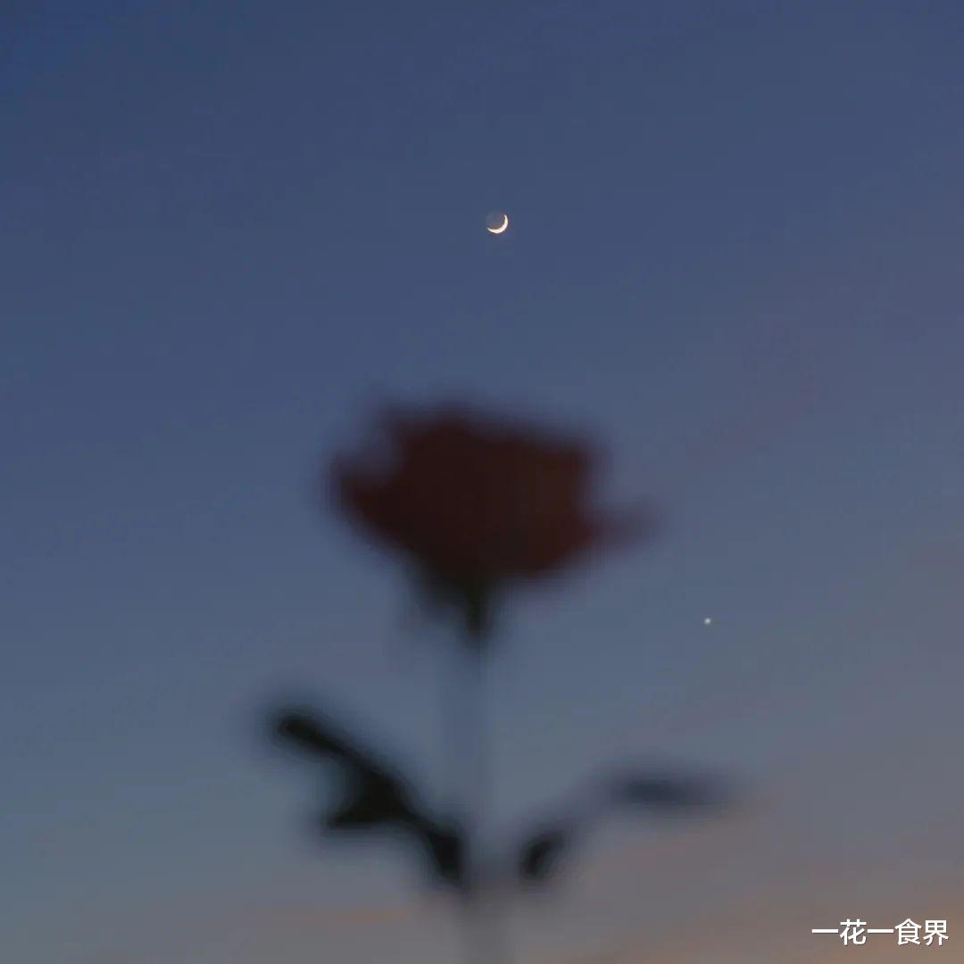 一花一食界|仲夏夜的风~