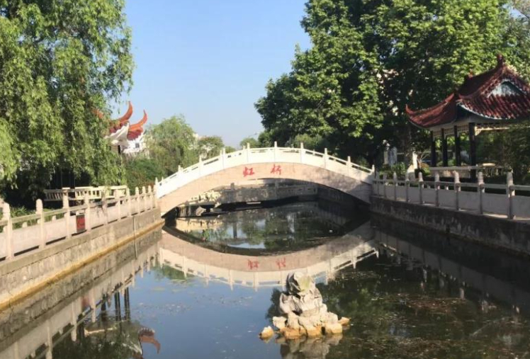 盐城 继东台市后，盐城又一县走红，被赞“何首乌之乡”，204国道过境