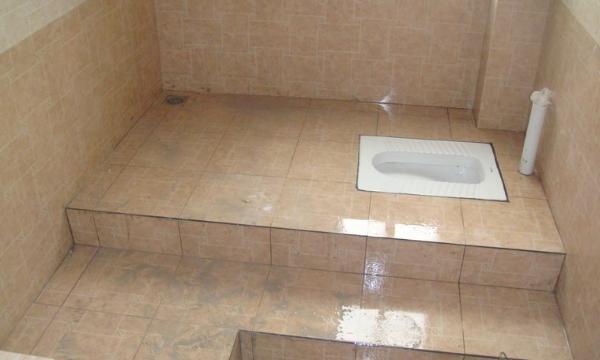 |卫生间到底是装马桶好还是蹲坑好？两个都不是，反而最机智的是它