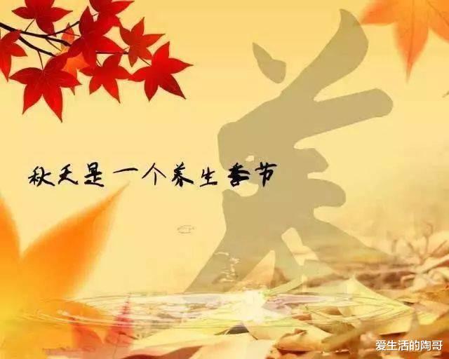爱生活的陶哥|秋季养生，最佳菜，肉，果，水，习惯给你，养好身体，冬天没烦劳