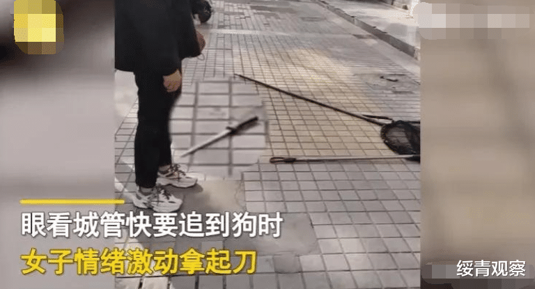 绥青观察 弱女子被3名男子用套狗网套住，只因女子持刀妨碍执法，围观者纷纷叫好