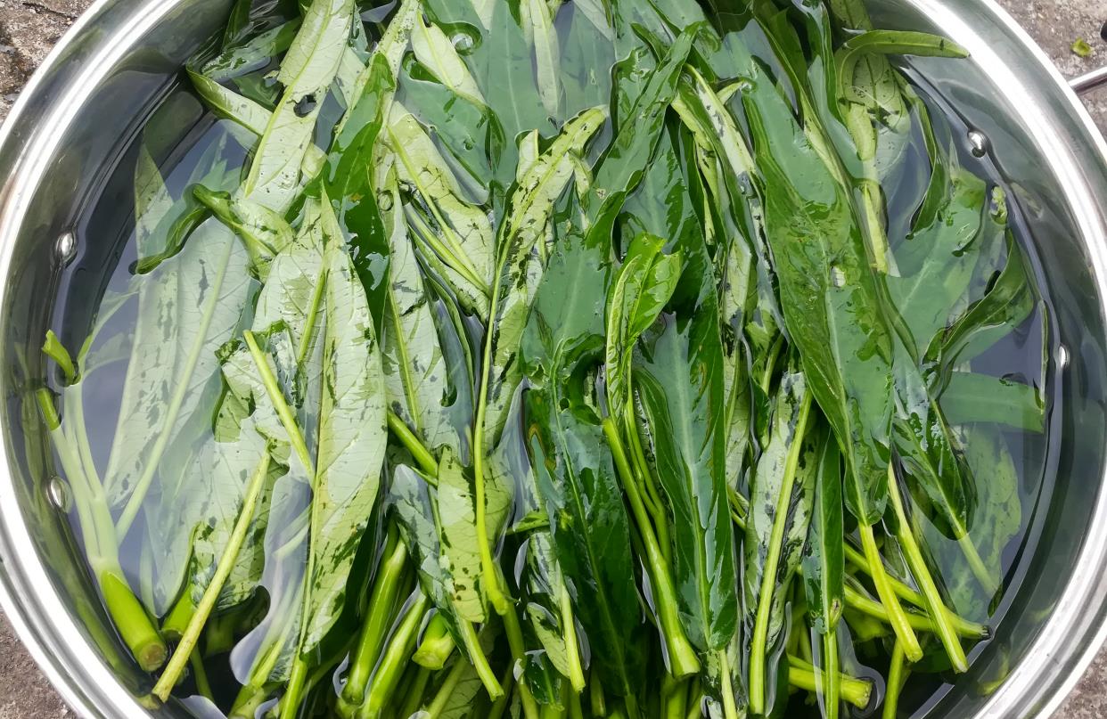 眉梢带愁|炒空心菜别焯水，学会餐馆的做法，多加2物，爽脆入味不发黑