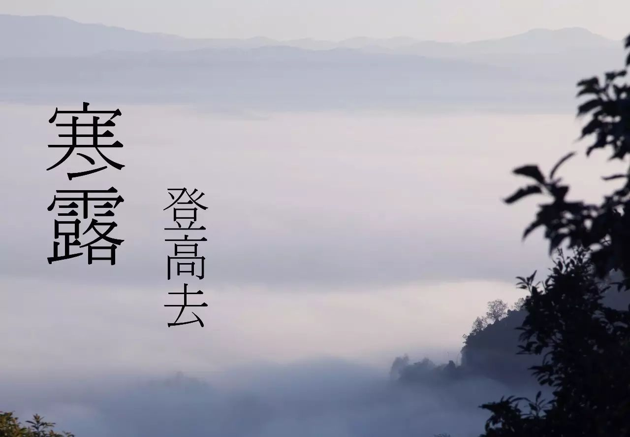 纤靓惠美体汇 今日霜降，告别最后一抹秋色