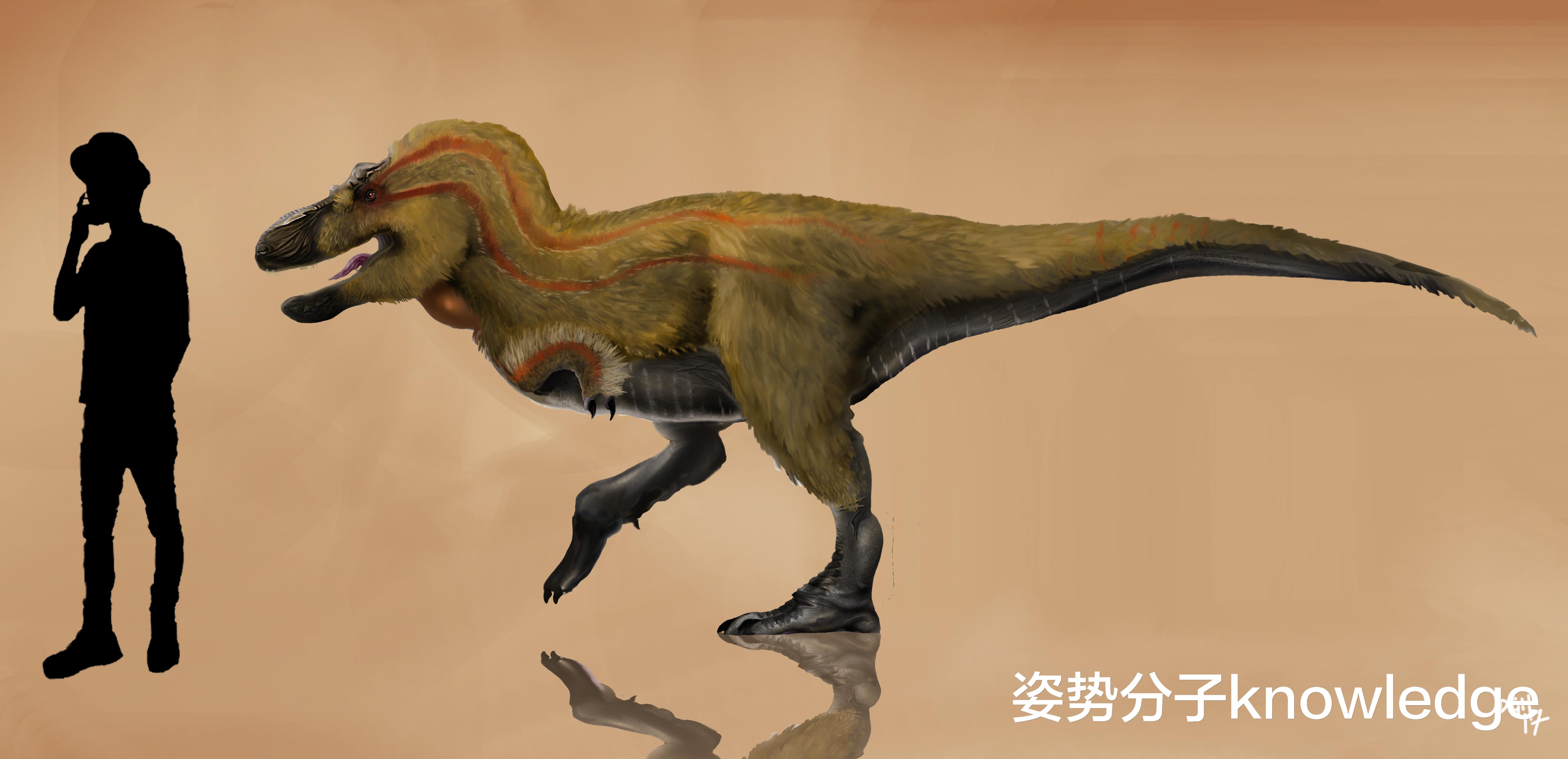 象龟 9000万年前统治中亚的恐龙猎手，灭绝之后，霸王龙才有机会崛起