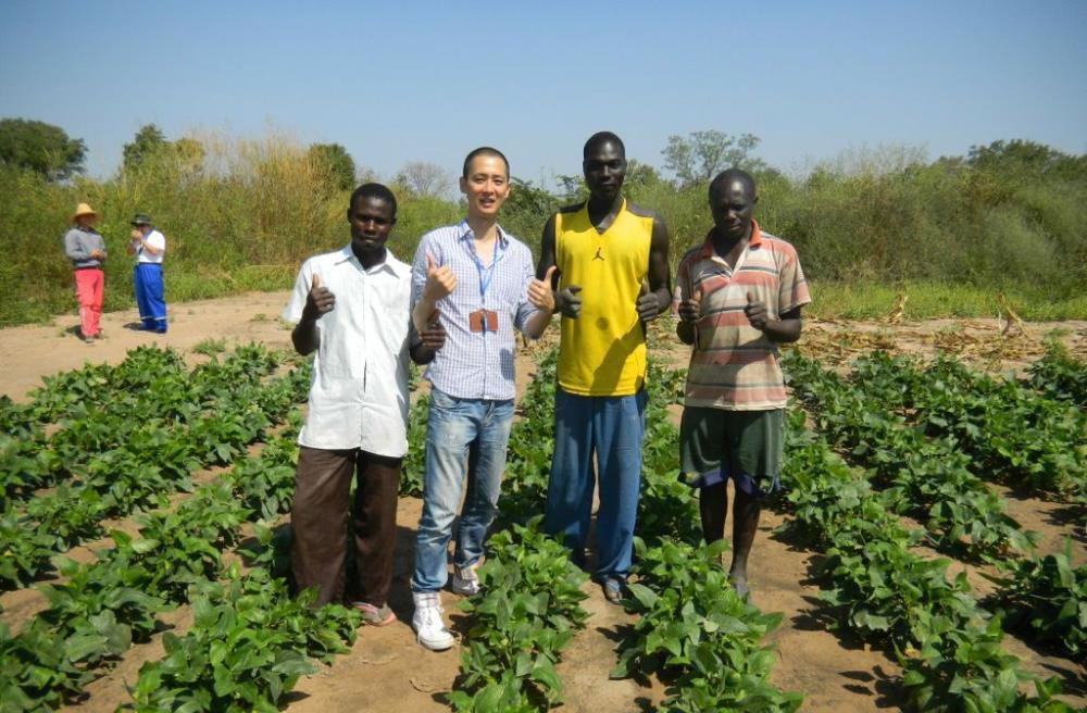 非洲 中国援建非洲农业项目，移交当地后为何会出现荒废？