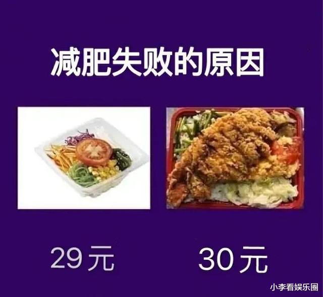 王思聪|神回复：如果你捡到王思聪的狗，怎么做到利益最大化？神评论绝了