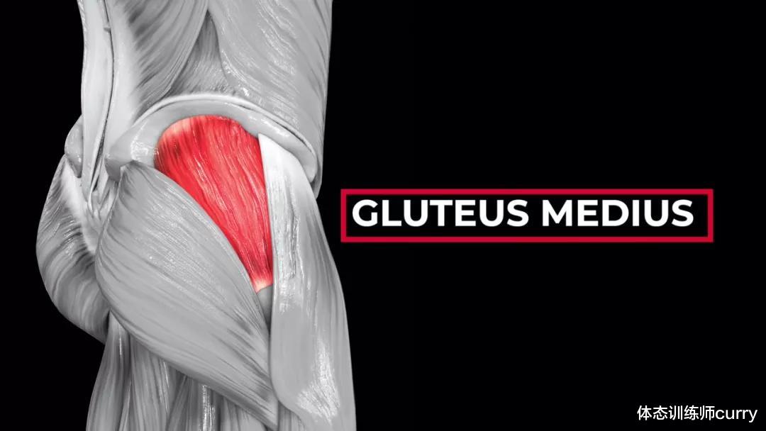 体态训练师curry|健身总是膝盖痛?那是你没练过这4个动作