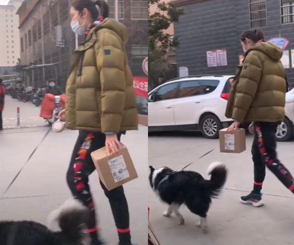 朱婷|朱婷过年遛狗拿快递被抓拍，漳州集训有新挑战，伤病影响今后发展