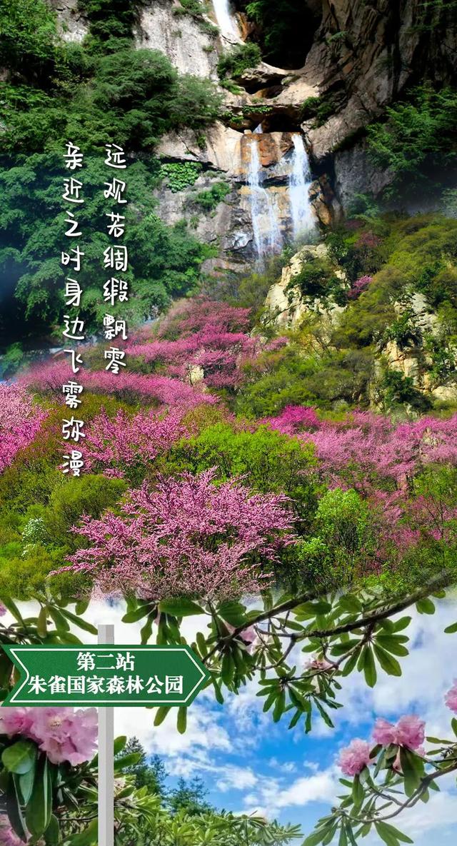 曲江新区 春天→夏天！前方到站秦岭绿色画廊