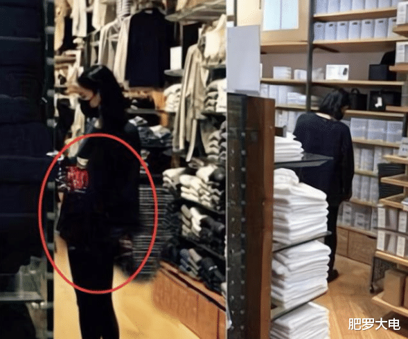 王菲|王菲秘密产女？谢霆锋为女儿修改遗嘱，张柏芝心灰意冷改名为张百知