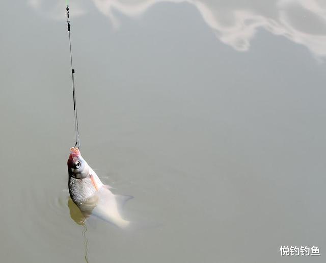 水库|水库钓鱼如何选钓点?