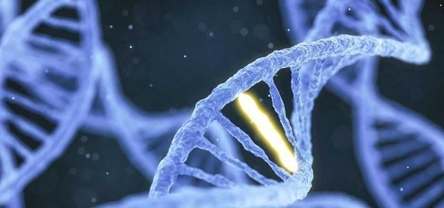 基因 人类不能近亲繁殖，为什么却让动物“回交”？这不违反伦理道德吗