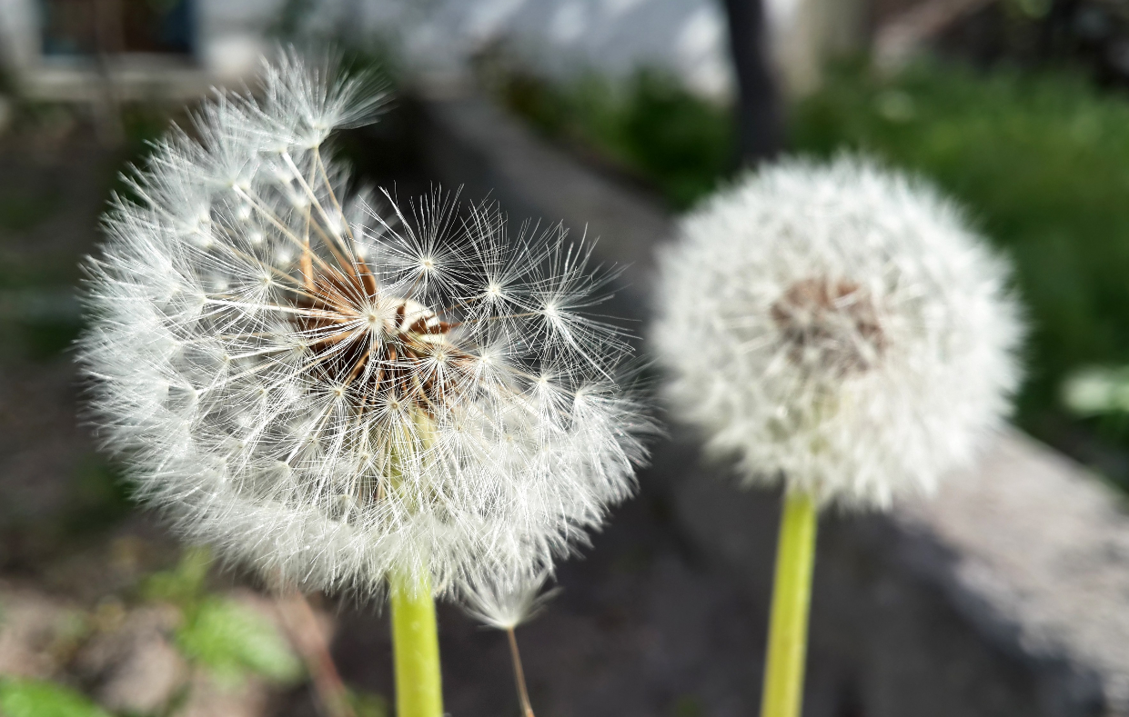 舜网 4月底,前缘不忘,前任难留,红娘开门迎缘 ,重启旧情的生肖