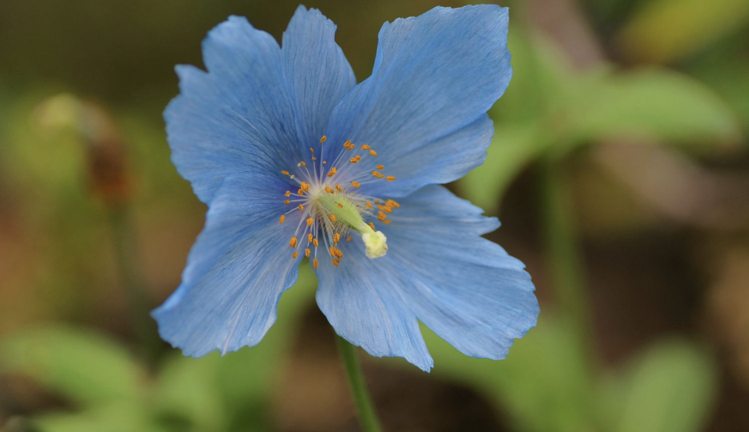 生肖夜梦|9月下旬,左手揽财,右手囤财,3生肖会赚钱,会存钱,生活富足有余