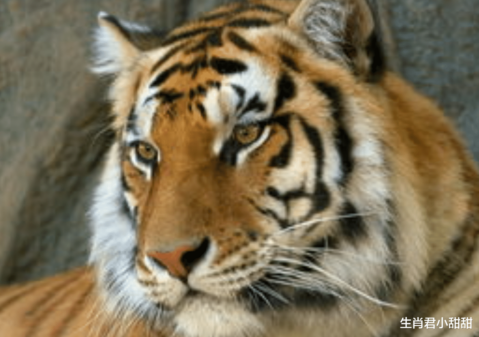 人社局|事业遇贵人业绩直线飙升,属虎人采取贵人建议,制定可行性方案