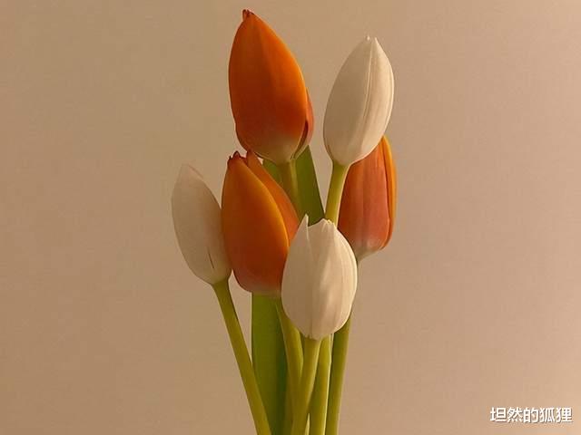 戒烟|人老了,最好的养生,就是这个字