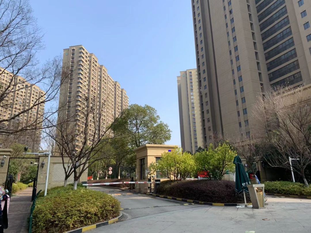 |值得买吗 一万五六的洋湖