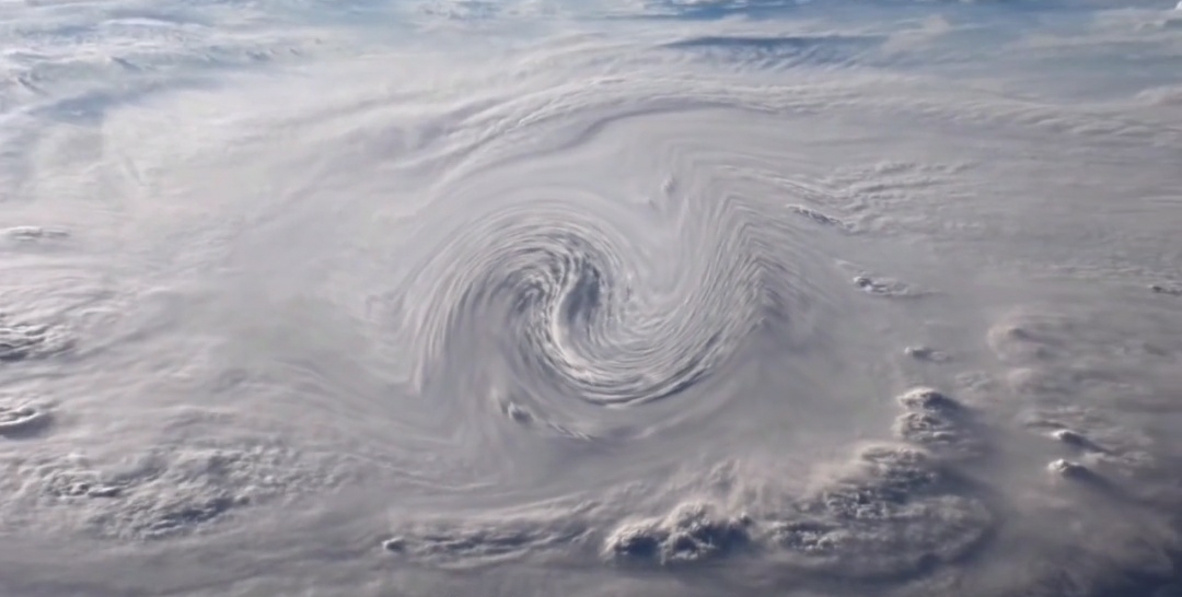 鲨鱼 如果地球突然失去氧气五秒，世界会发生怎样的改变？