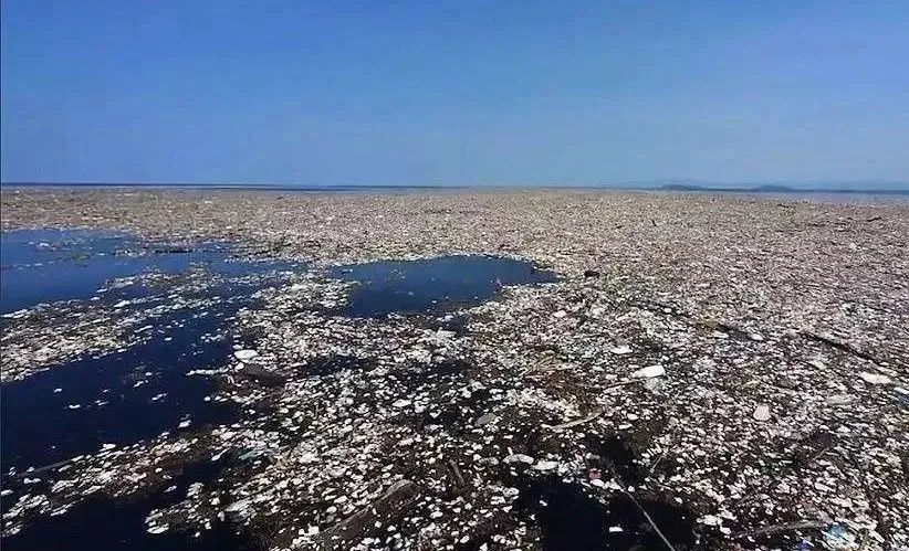 黄渤|“出轨门”12小时后，黄渤深夜「捡垃圾」视频被曝光：原来我们都错怪他了