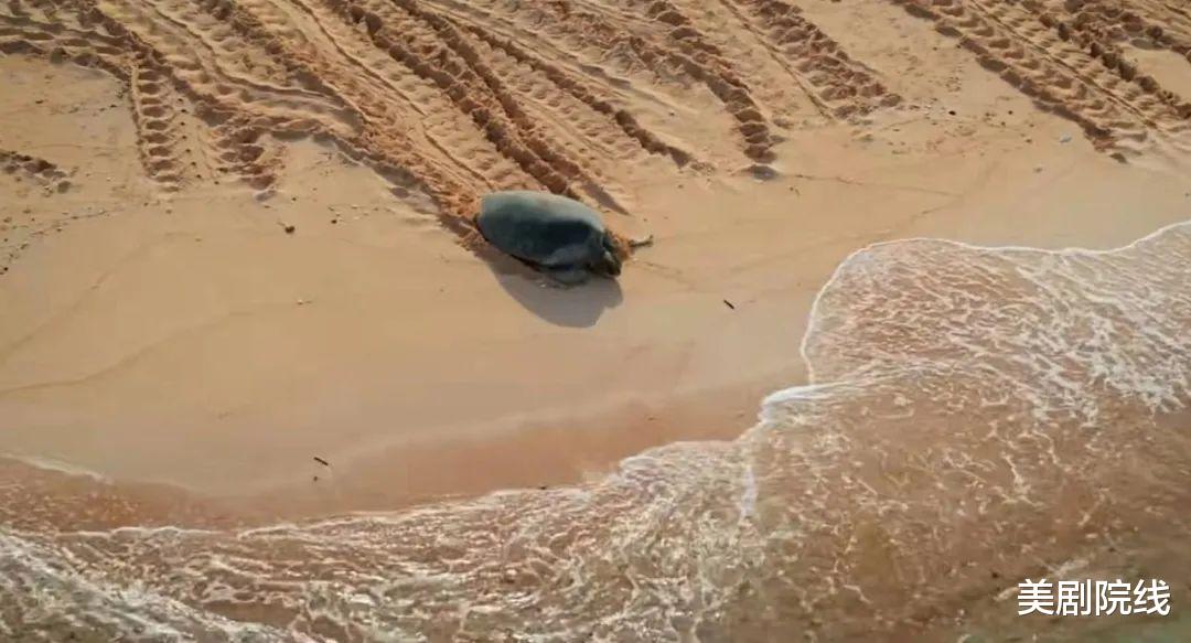 威尔·史密斯|开播9.3分，零差评，这部年度大片来了！