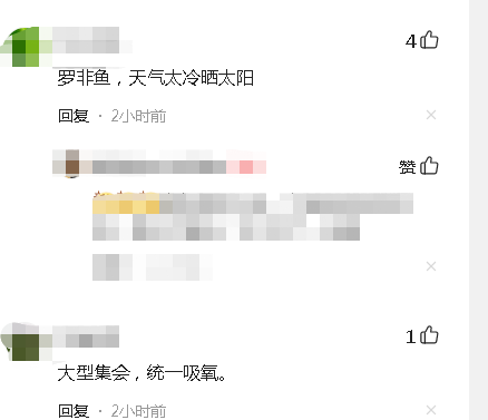 福建省|福建河道数万条鱼起浮，挤满河道，网友建议还看啥赶紧回家取抄网