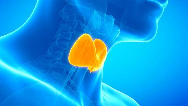 甲状腺结节|橙子是甲状腺结节的发物？建议：想要结节散得快，4种食物可多吃