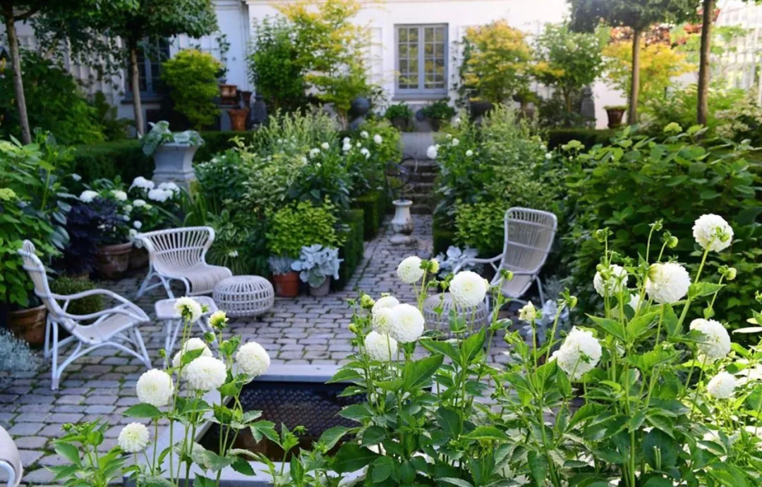 最惬意的生活,其实就是在小院中找到最佳栖居地!