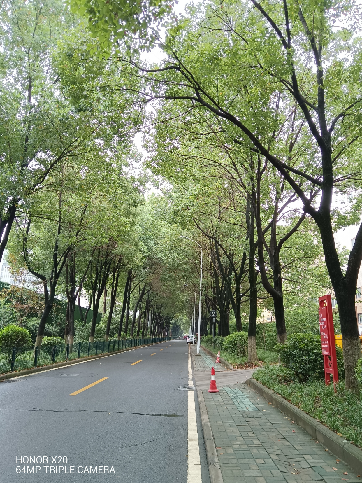 荣耀x20|荣耀X20的配置怎么样？荣耀X20测评，荣耀X20的拍照效果体验